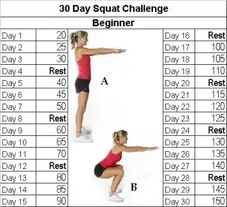 squat-beginner.webp