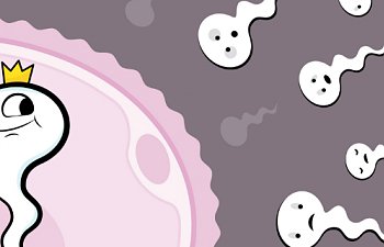 Sperm Mıknatısı Nedir? Faydaları ve Testi