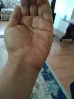 152266437758625375160.webp