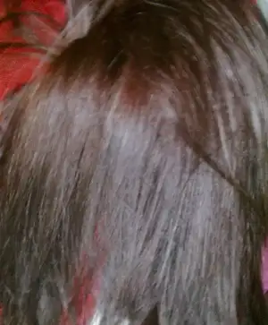 $18012012037.webp $18012012037.webp