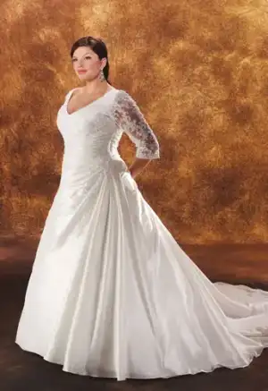 $plus size wedding dresses.webp