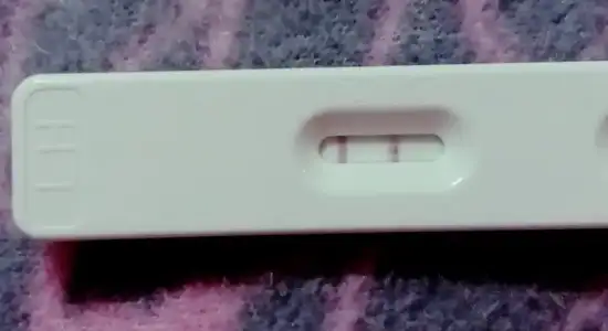 ovulasyon testi.webp