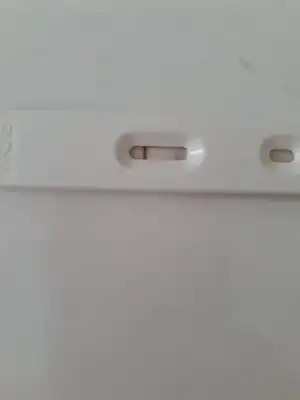 Test.webp
