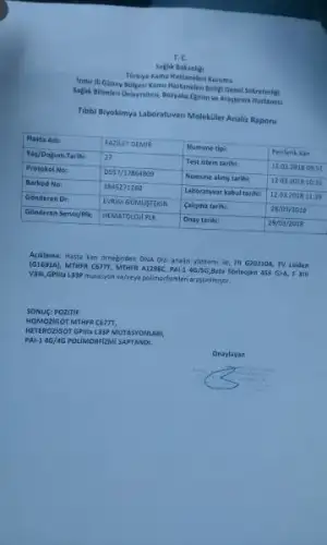 IMG-20180406-WA0004.webp