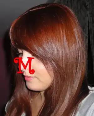 DSCN6303.webp