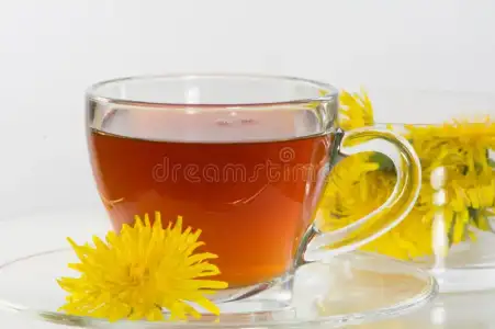 Karahindiba_cayi_ile_urik_asit_seviyesini_dusurme.jpg Karahindiba_cayi_ile_urik_asit_seviyesini_dusurme.jpg