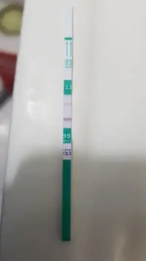 IMG-20180422-WA0002.webp