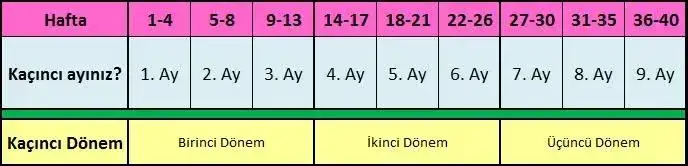 EFF58B20-83F6-4BBE-8E06-FBB6765AEF79.webp