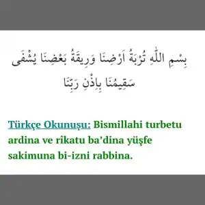 PhotoGrid_1525774314439.webp