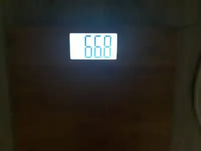 32743359_10216619236260408_8446315970863038464_n.webp