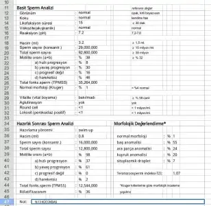 IMG-20171018-WA0106.webp