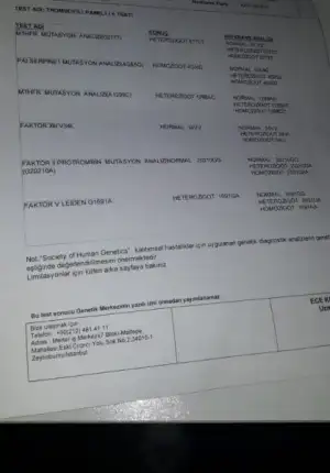 DBA69358-8CD9-408B-968B-7C3AABFA9D36.webp