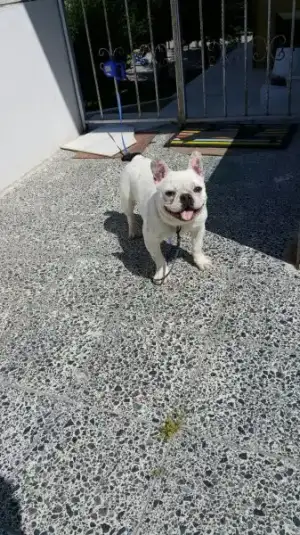 IMG-20180528-WA0000.webp