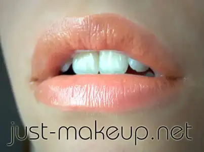 $flormar-supermatte-lipgloss-302.webp