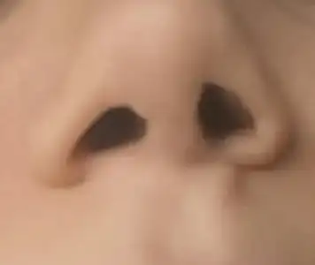 20180601_163129-1.webp