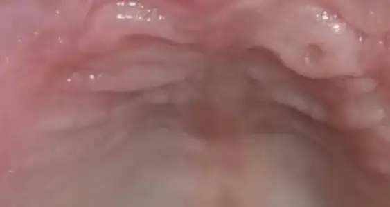 Screenshot_2018-06-05-23-02-42-1.webp