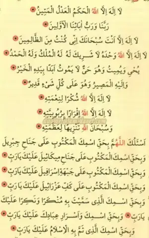 kenzul-ars02.webp