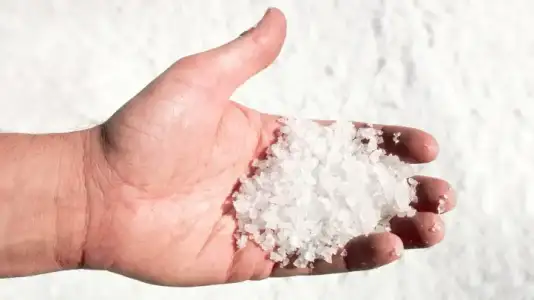egzama nasil gecer kadinlar kulubu