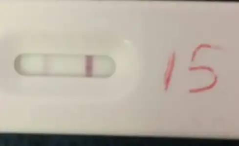 2018-06-13 04.03.54.webp