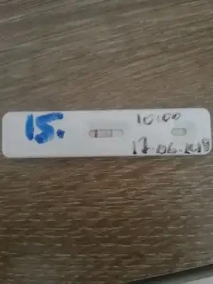 1529238139570-535956560.webp