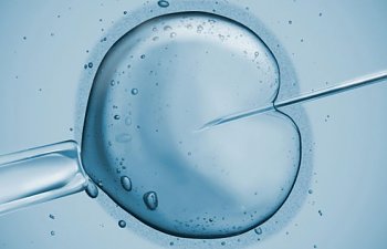 Tüp bebek (IVF) Düşünüyorsanız Mutlaka Göz Atın !