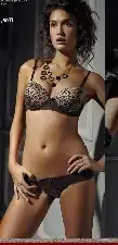 $pier cardin 37 tll.webp
