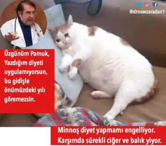 Screenshot_20180710-174551.webp