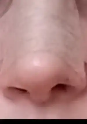 Screenshot_20180713-123839.webp
