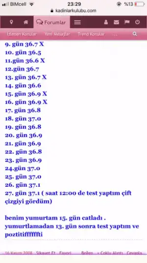 5C95B5F9-D4B8-4B08-A261-DF7F8B8F58FC.webp