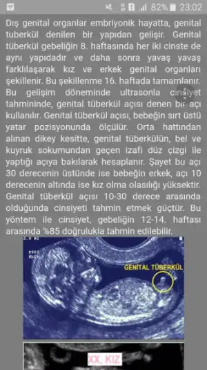 Screenshot_2018-07-18-23-02-55.webp