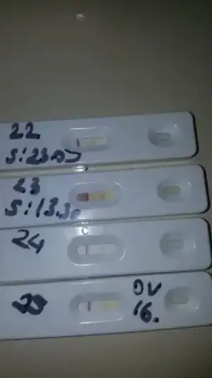 37781366_1087490878067919_3387912310944169984_n.webp