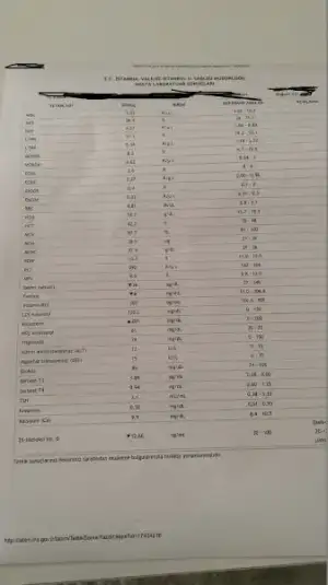 WhatsApp Image 2018-07-27 at 14.10.49.webp