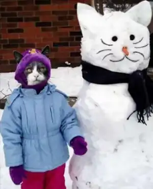 $children-cat.webp