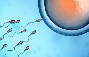 Düşük Sperm Sayısı Nedir? Azospermi Nedenleri Nelerdir?