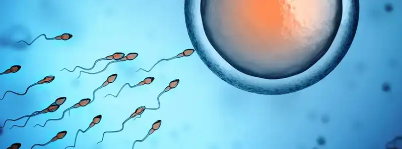 Düşük Sperm Sayısı Nedir? Azospermi Nedenleri Nelerdir?