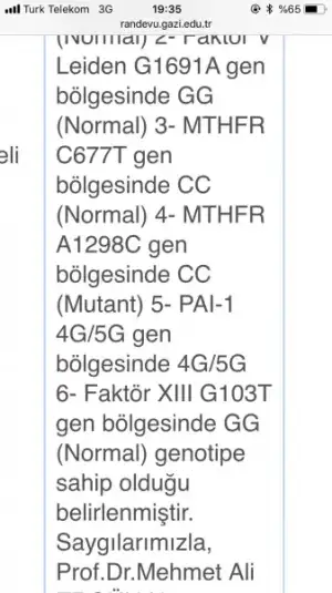 ED237520-874E-4B4F-9D29-33BAFA09F19B.webp