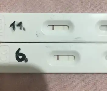 E40D8D68-7EF5-499E-BADA-6AD13EA8FA6A.webp