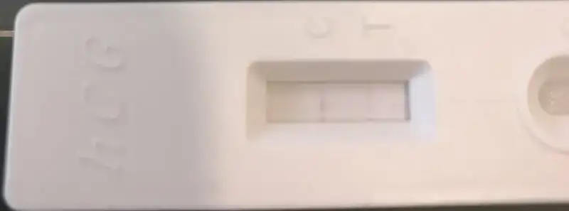 68D96D61-111A-42C8-ACE0-245415AE915D.webp 68D96D61-111A-42C8-ACE0-245415AE915D.webp