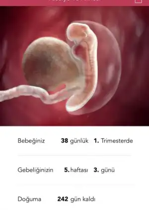 AD9C8DD5-6425-4E88-8540-5EBABED4B960.webp
