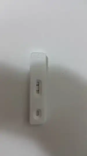 20180819_131330.webp