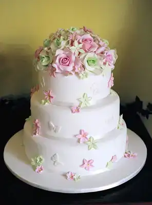 $wedding_2Dcake_2Dpictures_2D1_small.webp