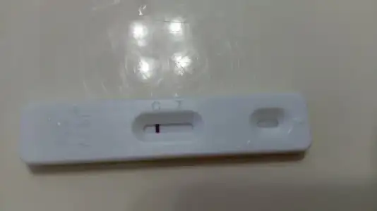 IMAG8631.webp