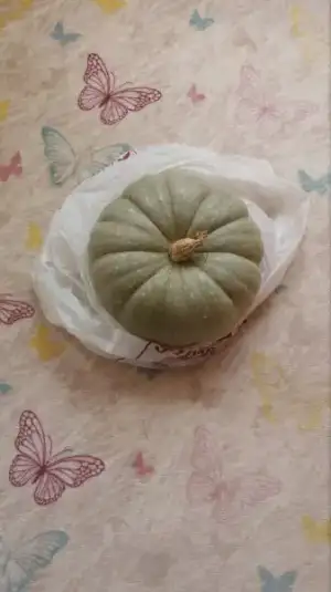 20180906_104531-1.webp