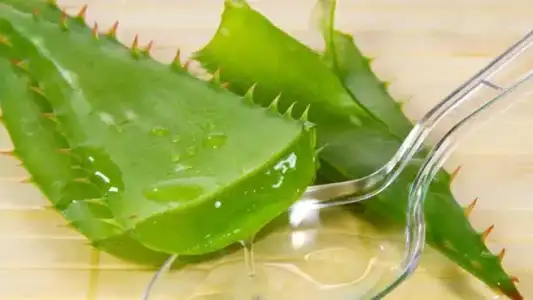 Yaz Sonrası Güneş Lekeleri İçin Aloe Vera Maskesi Tarifi