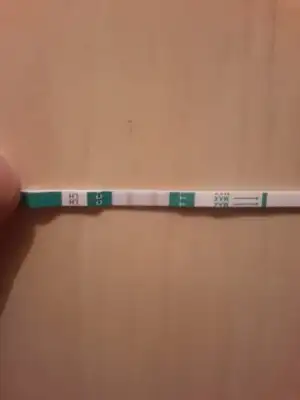 ovu909.webp