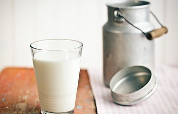 Laktozsuz Süt Zayıflatırmı? Kilo Aldırır Mı? Faydaları