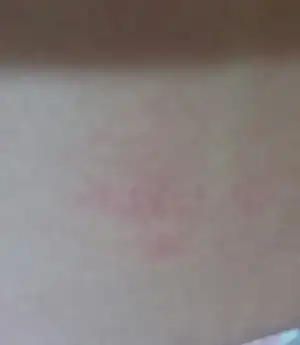 20180921_190114.webp