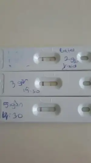 2018-09-24 14.11.55.webp