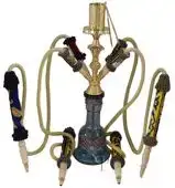 $profilepic75_1.gif.webp $profilepic75_1.gif.webp