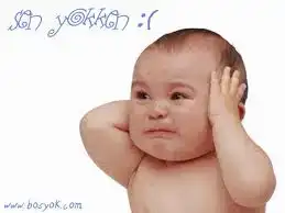 $imagesCAIH8TLD.webp